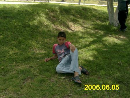 ayoub